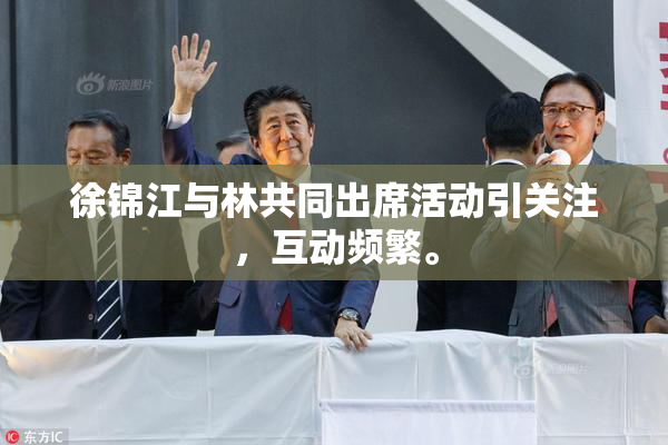 徐锦江与林共同出席活动引关注，互动频繁。