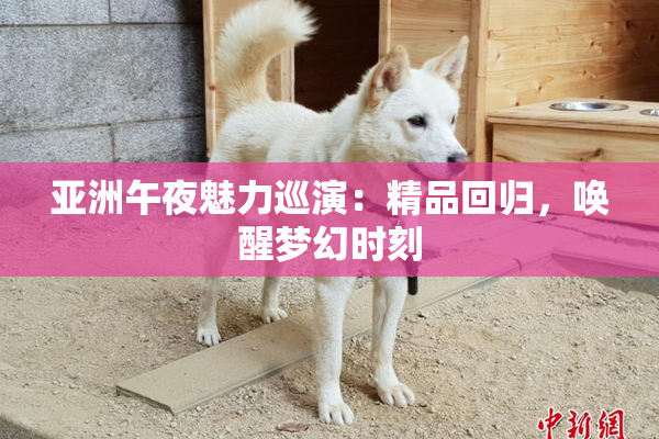 亚洲午夜魅力巡演：精品回归，唤醒梦幻时刻