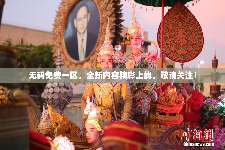 无码免费一区，全新内容精彩上线，敬请关注！