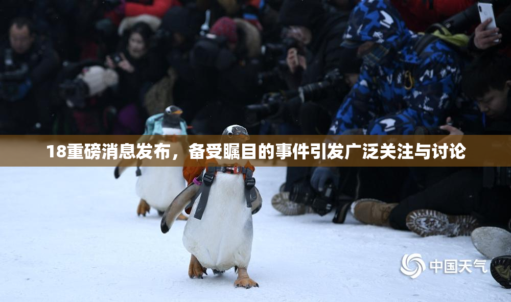 18重磅消息发布，备受瞩目的事件引发广泛关注与讨论