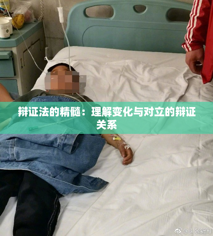 辩证法的精髓：理解变化与对立的辩证关系
