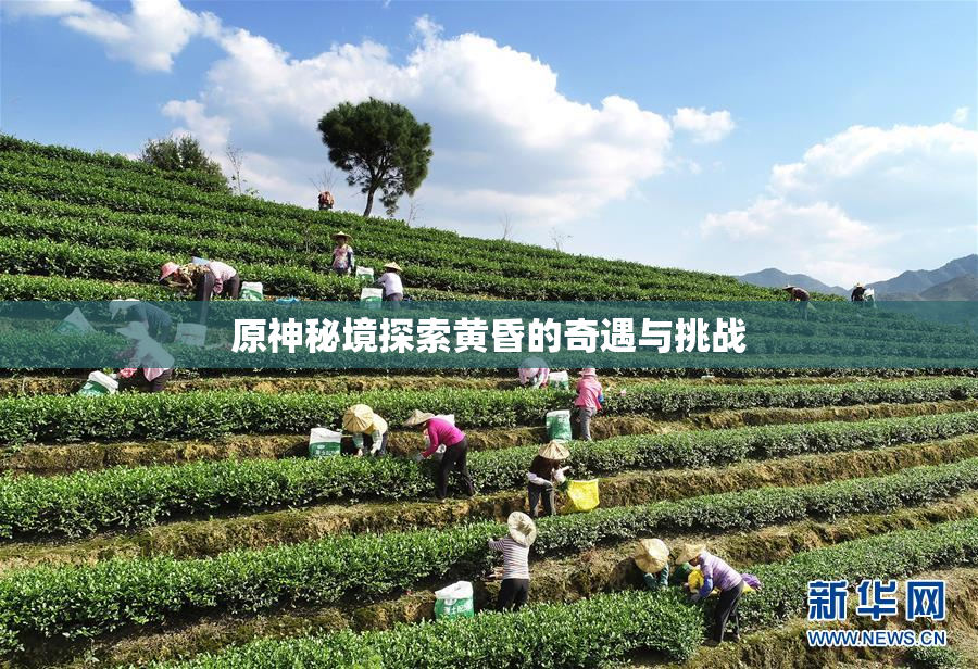 原神秘境探索黄昏的奇遇与挑战