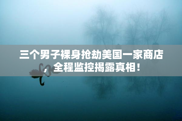 三个男子裸身抢劫美国一家商店，全程监控揭露真相！
