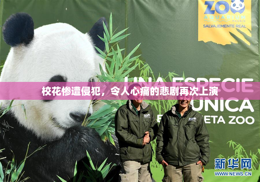 校花惨遭侵犯，令人心痛的悲剧再次上演