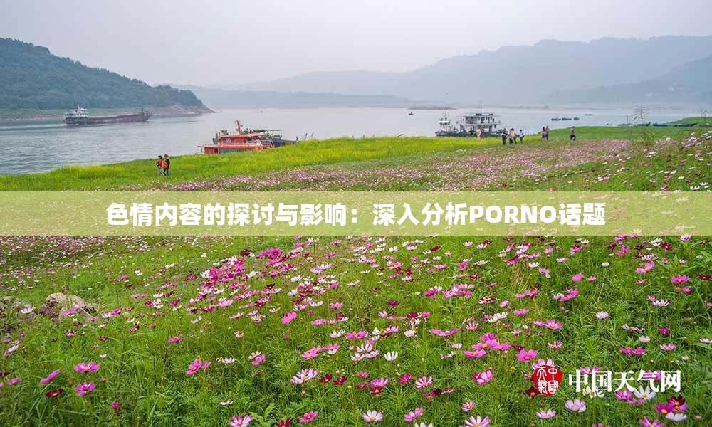 色情内容的探讨与影响：深入分析PORNO话题