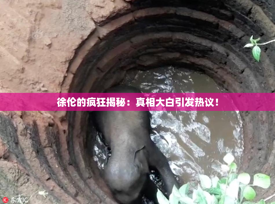 徐伦的疯狂揭秘：真相大白引发热议！
