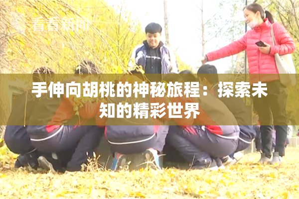 手伸向胡桃的神秘旅程：探索未知的精彩世界