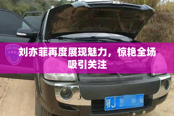 刘亦菲再度展现魅力，惊艳全场吸引关注