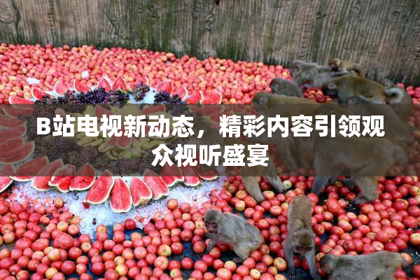 B站电视新动态，精彩内容引领观众视听盛宴