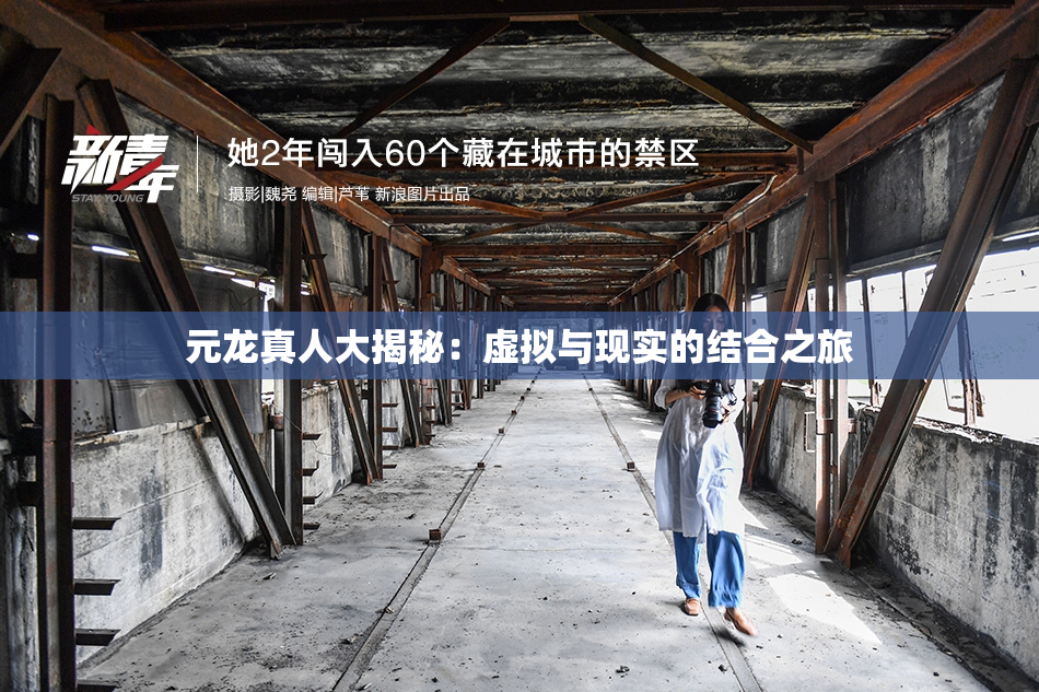 元龙真人大揭秘：虚拟与现实的结合之旅