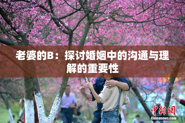 老婆的B：探讨婚姻中的沟通与理解的重要性