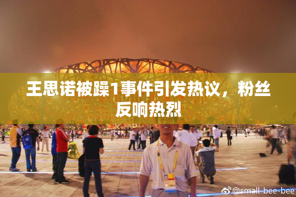 王思诺被躁1事件引发热议，粉丝反响热烈