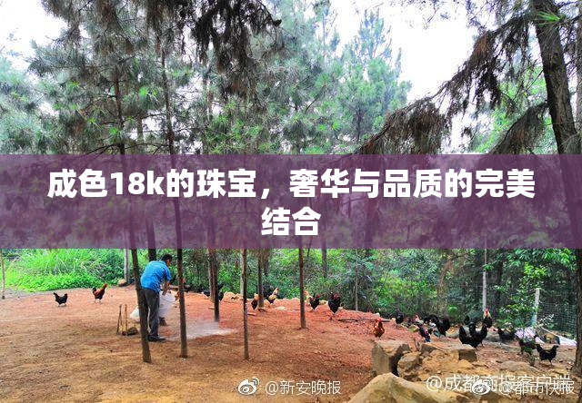 成色18k的珠宝，奢华与品质的完美结合