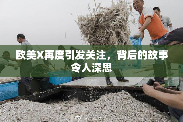 欧美X再度引发关注，背后的故事令人深思