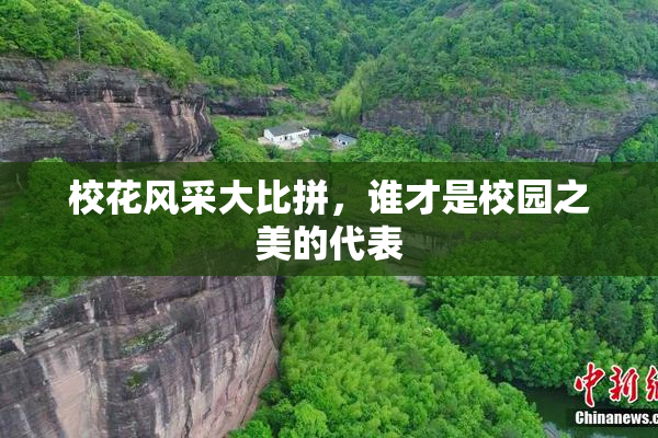 校花风采大比拼，谁才是校园之美的代表