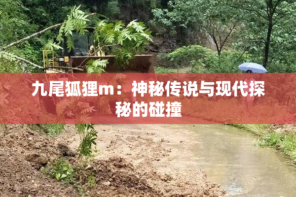 九尾狐狸m：神秘传说与现代探秘的碰撞