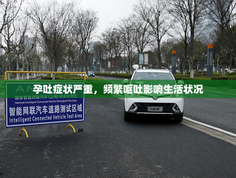 孕吐症状严重，频繁呕吐影响生活状况