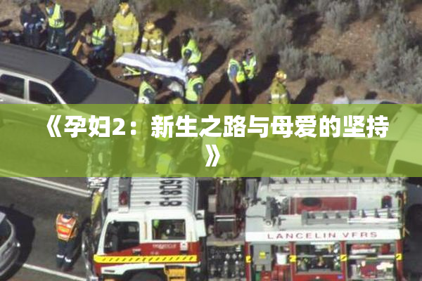 《孕妇2：新生之路与母爱的坚持》
