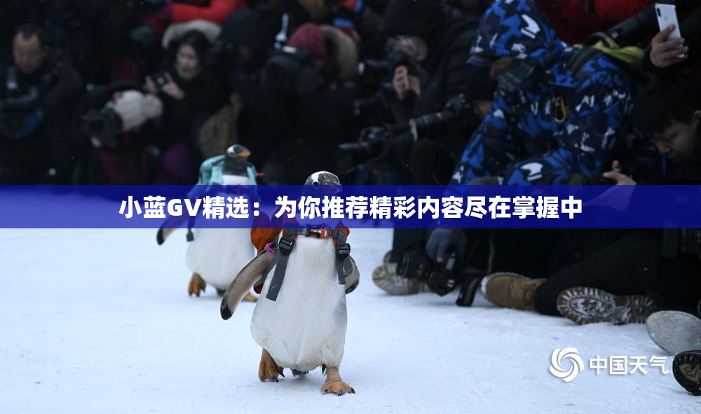 小蓝GV精选：为你推荐精彩内容尽在掌握中