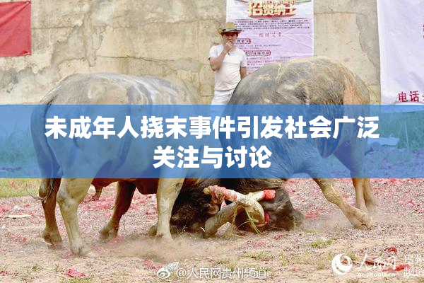 未成年人挠末事件引发社会广泛关注与讨论