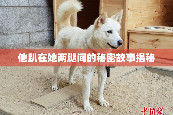 他趴在她两腿间的秘密故事揭秘