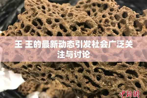 王 王的最新动态引发社会广泛关注与讨论