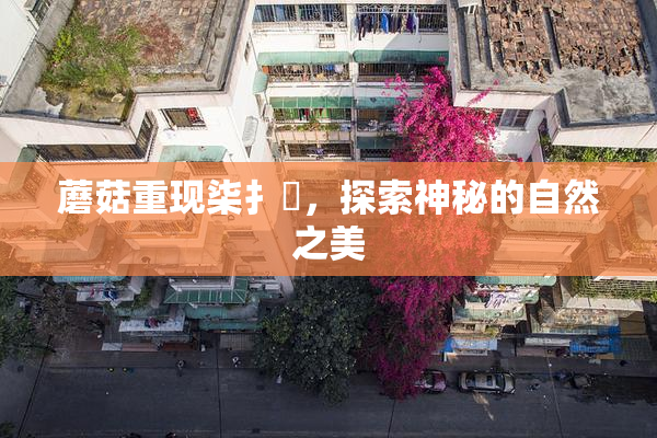 蘑菇重现柒扌畐，探索神秘的自然之美