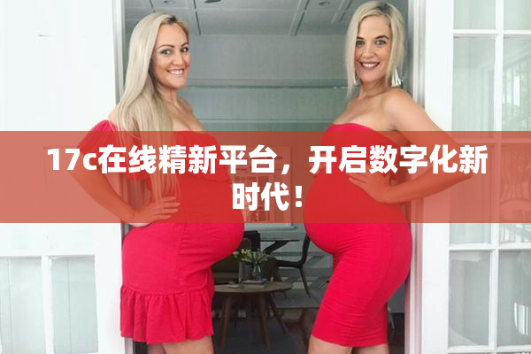 17c在线精新平台，开启数字化新时代！
