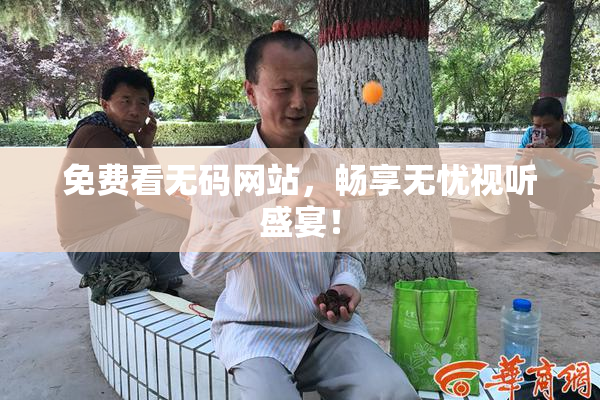 免费看无码网站，畅享无忧视听盛宴！