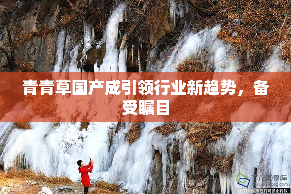 青青草国产成引领行业新趋势，备受瞩目