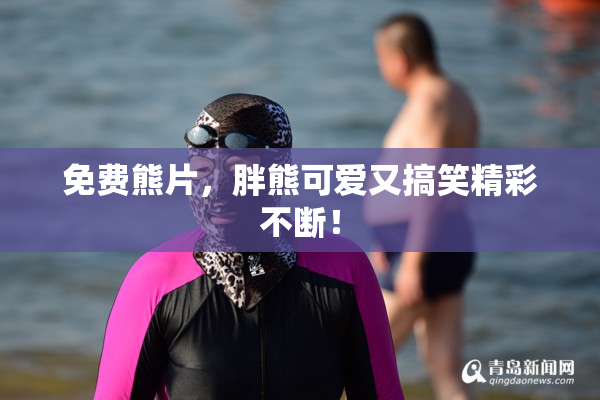 免费熊片，胖熊可爱又搞笑精彩不断！
