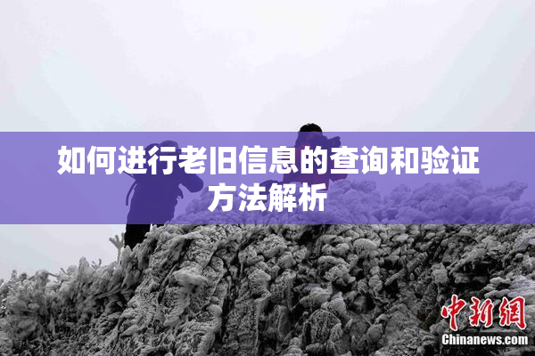 如何进行老旧信息的查询和验证方法解析