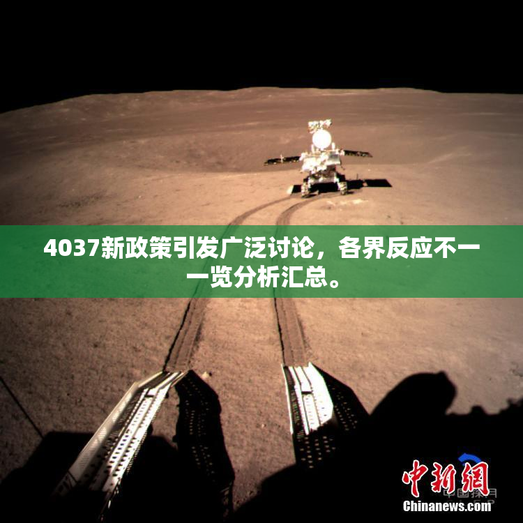 4037新政策引发广泛讨论，各界反应不一一览分析汇总。