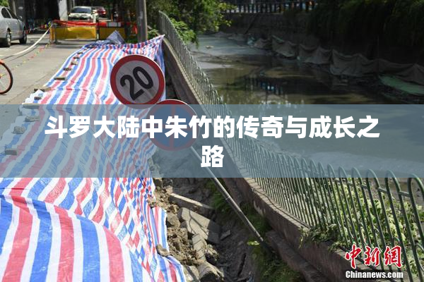 斗罗大陆中朱竹的传奇与成长之路