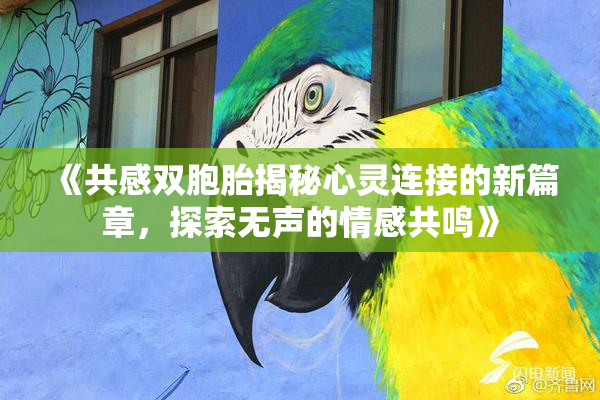 《共感双胞胎揭秘心灵连接的新篇章，探索无声的情感共鸣》