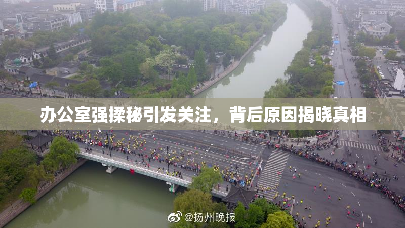 办公室强揉秘引发关注，背后原因揭晓真相
