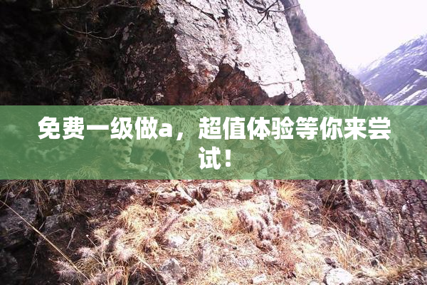 免费一级做a，超值体验等你来尝试！