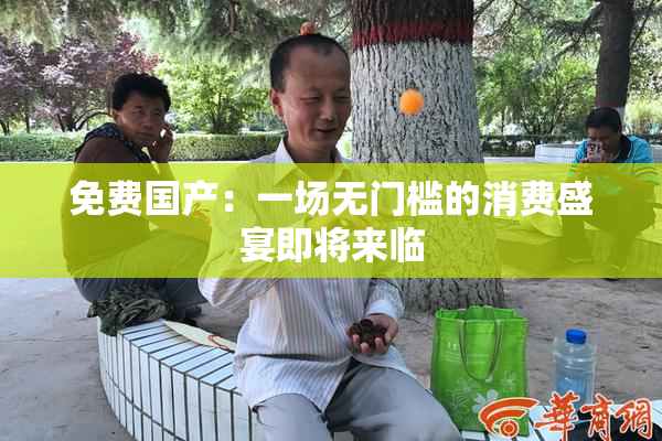 免费国产：一场无门槛的消费盛宴即将来临