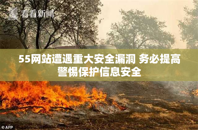 55网站遭遇重大安全漏洞 务必提高警惕保护信息安全