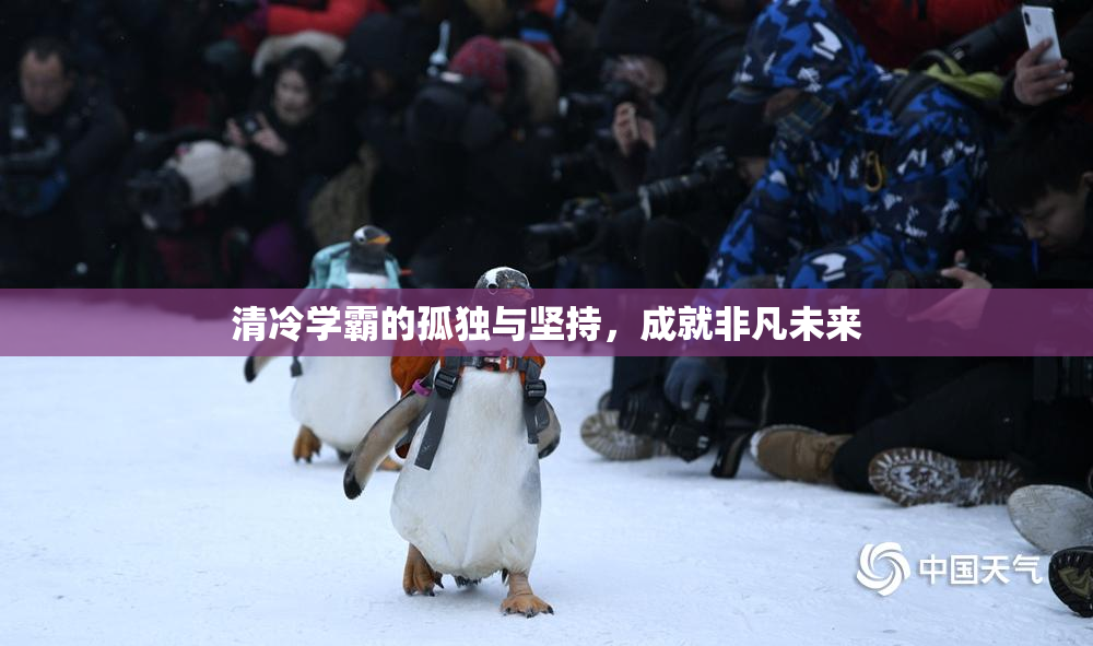 清冷学霸的孤独与坚持，成就非凡未来