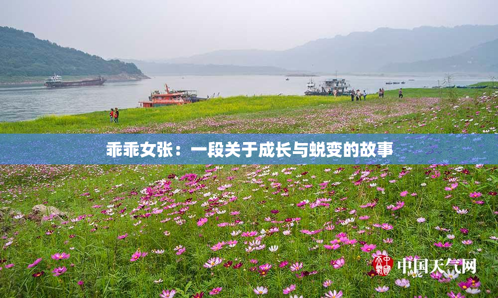 乖乖女张：一段关于成长与蜕变的故事