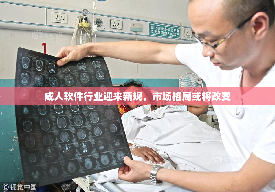 成人软件行业迎来新规，市场格局或将改变