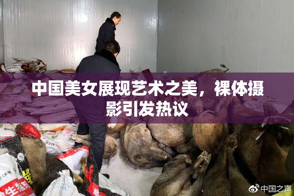 中国美女展现艺术之美，裸体摄影引发热议