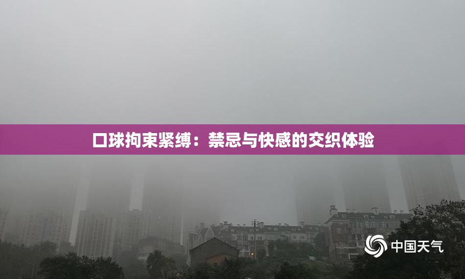 口球拘束紧缚：禁忌与快感的交织体验