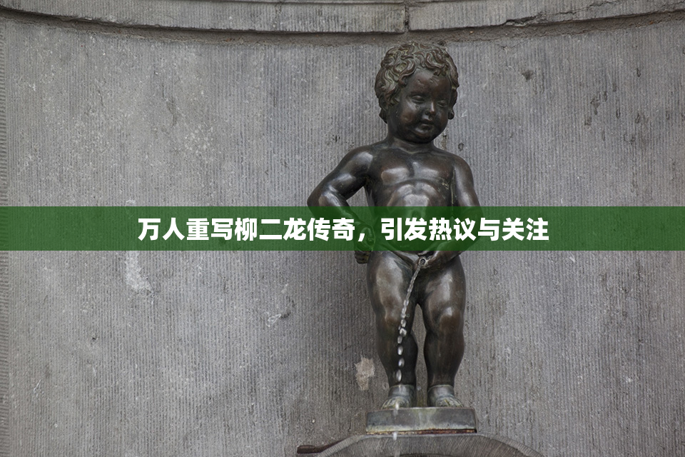 万人重写柳二龙传奇，引发热议与关注