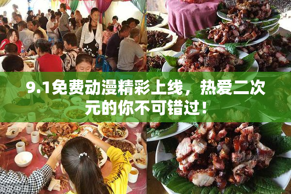 9.1免费动漫精彩上线，热爱二次元的你不可错过！