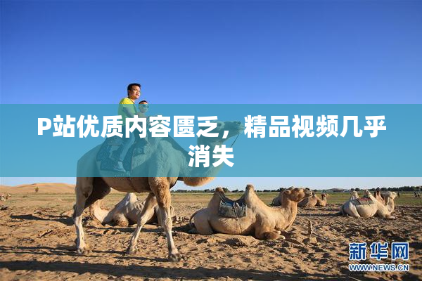 P站优质内容匮乏，精品视频几乎消失