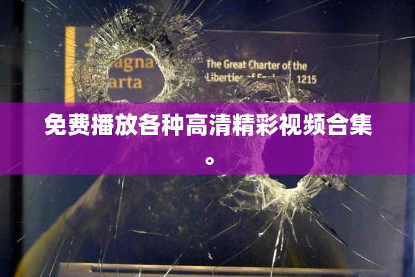 免费播放各种高清精彩视频合集。