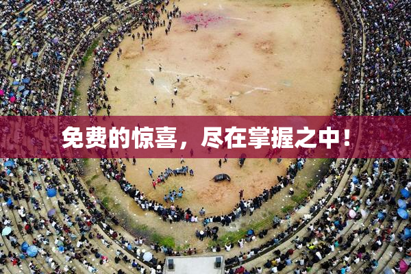 免费的惊喜，尽在掌握之中！