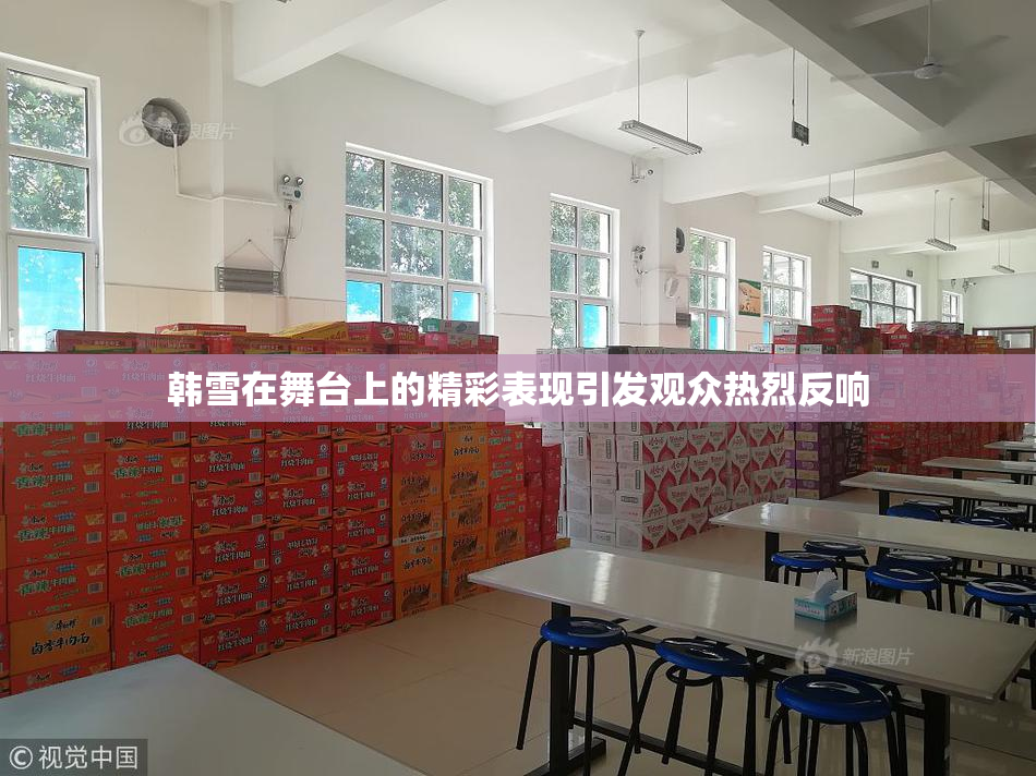 韩雪在舞台上的精彩表现引发观众热烈反响
